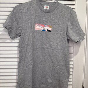 Supreme Emilio Pucci Box Logo Tee Dusty Pink on Grey Small